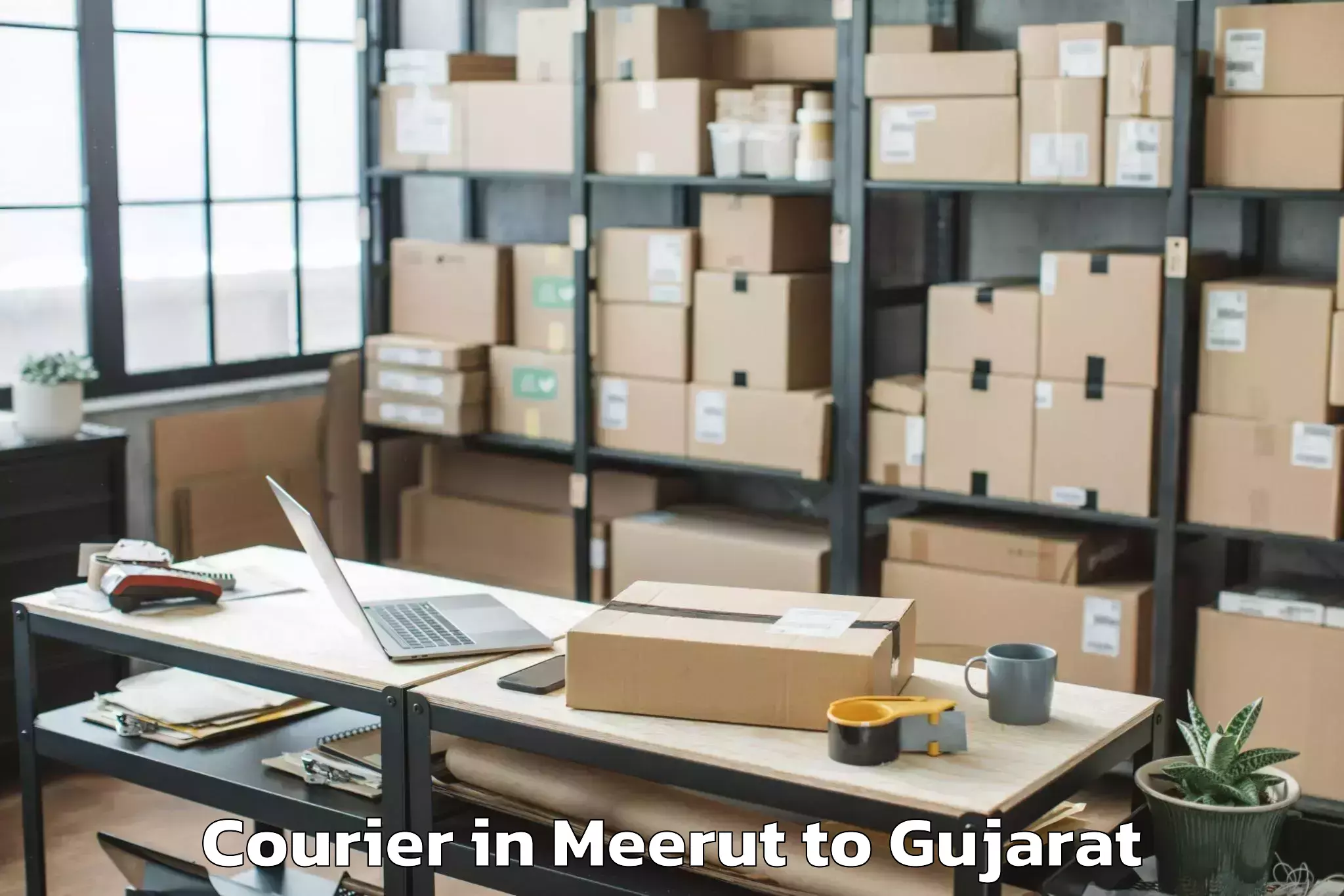 Quality Meerut to Botad Courier